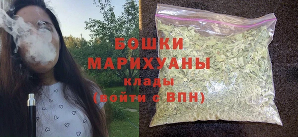 сатива Нягань