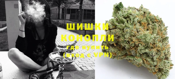 стафф Данков